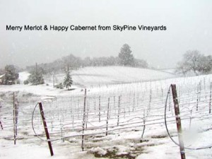 Winter at Sky Pine Vineyards